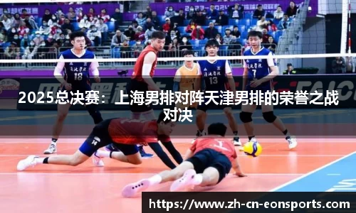 2025总决赛：上海男排对阵天津男排的荣誉之战对决